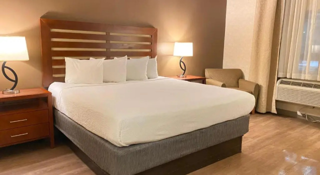 Номер Standard Wyndham Garden Grand Rapids Airport