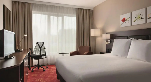 Двухместный семейный номер Standard Hilton Garden Inn Leiden