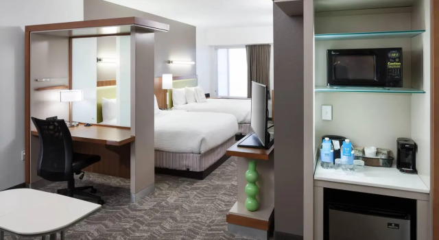 Двухместная студия SpringHill Suites by Marriott Orlando at SeaWorld