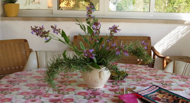House Marlu, Rezervați Casă de vacanță Rakalj Istria
