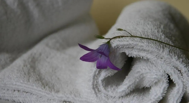 Номер Standard Hotel Audenis