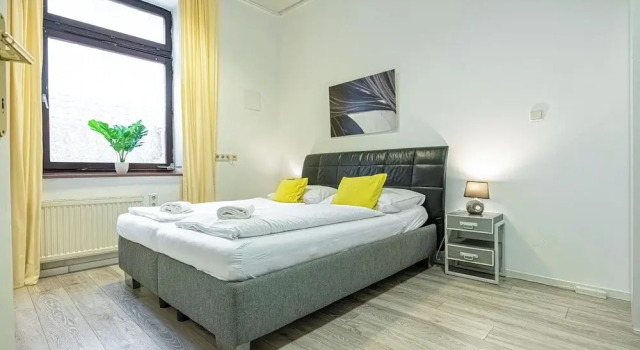 Bright 1BR Apartment in Central Vienna