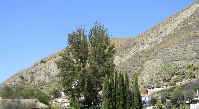 Апартаменты Apartamento Granada Monachil II