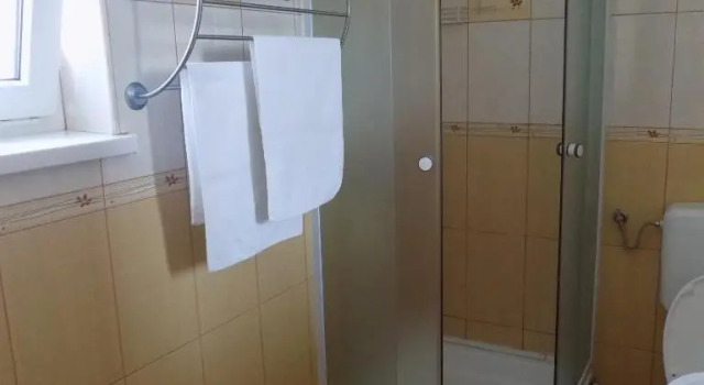 Двухместный номер Standard Pension Casa Rad