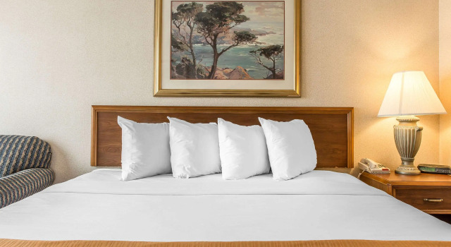 Quality Inn and Conference Center, Prenota Hotel Springfield Ohio