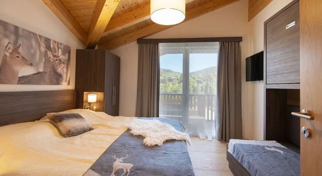 Номер Comfort Пентхаус с 3 комнатами с балконом и с красивым видом из окна Apartment Dorf Wagrain Alpenleben by AlpenTravel