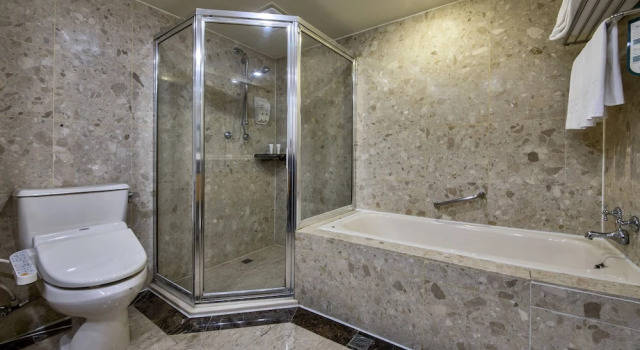Двухместный номер Standard The Carlton Hotel Hsinchu