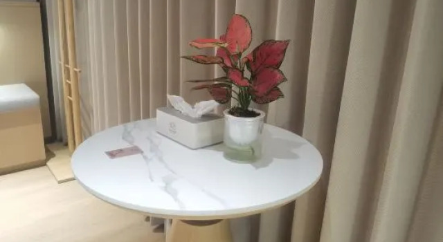 Suite Premium Lotus Hotel