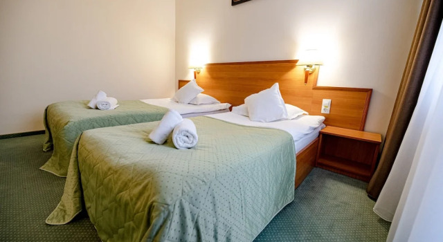 Одноместный номер Standard с балконом Hotel Rivulus