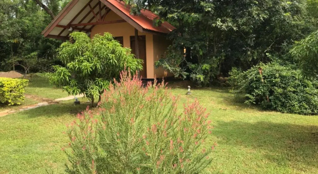 Двухместный номер Deluxe Liyon Rest sigiriya
