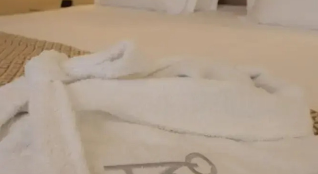 Вилла Quinta da Maquia Hotel
