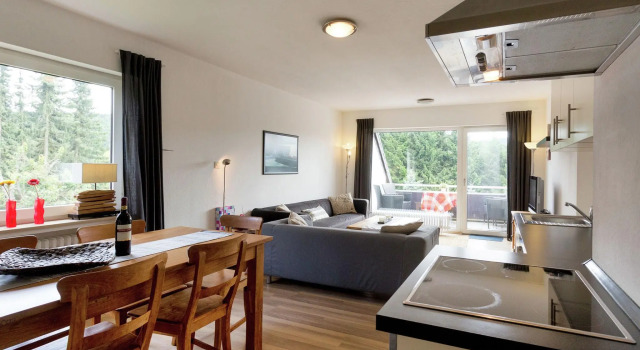 Modern apartment in the Sauerland region with private balcony