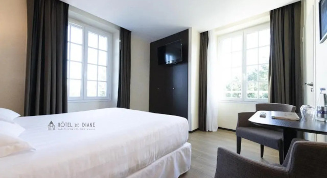 Двухместный номер Standard Hotel De Diane