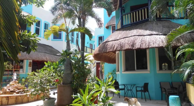 Апартаменты Casa Gatos Suites