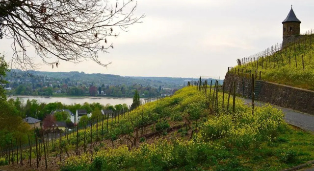 Weinhaus Hoff
