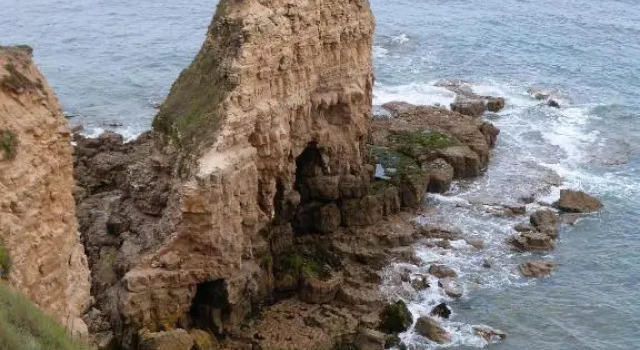 Camping Le Picard, Reserva ahora Camping Camping y glamping en Normandía, Camping