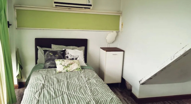 Summer Cottage Apartel