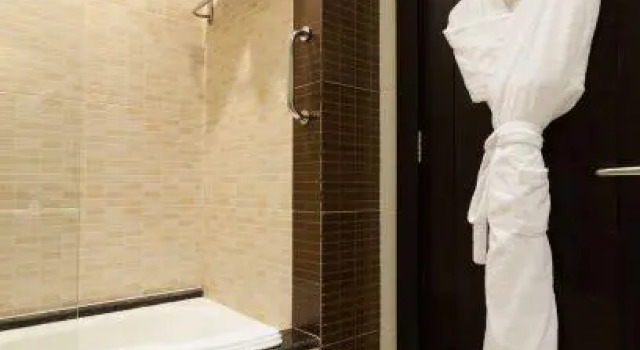 Люкс Executive Ayass Hotel