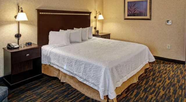 Двухместный номер Standard Hampton Inn Roanoke Rapids