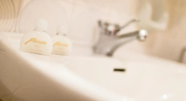 Двухместный номер Standard Hotel Arndt