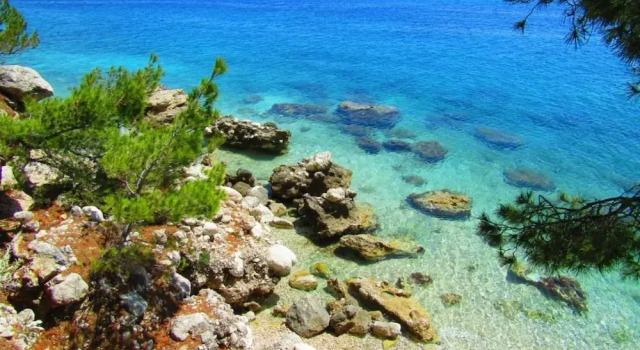 Люкс Hotel Pansion Villa Antonio