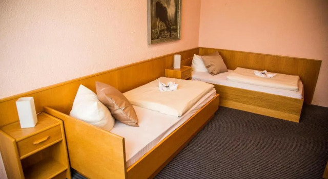 Трёхместный номер Standard Hotel Stadt Peine