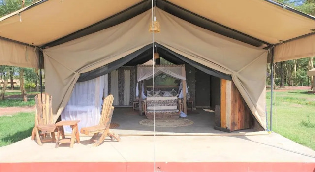 Номер Comfort Africa Safari Lake Natron