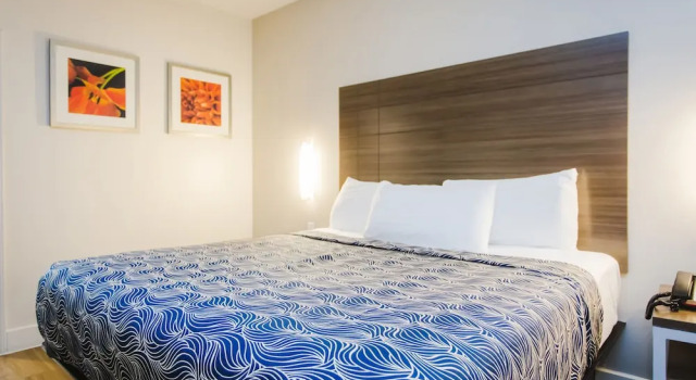 Двухместный номер Standard Palace Inn Blue I-45 & College Ave
