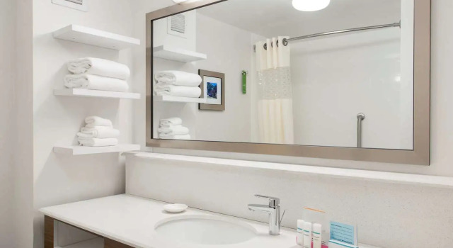 Люкс Hampton Inn Troy