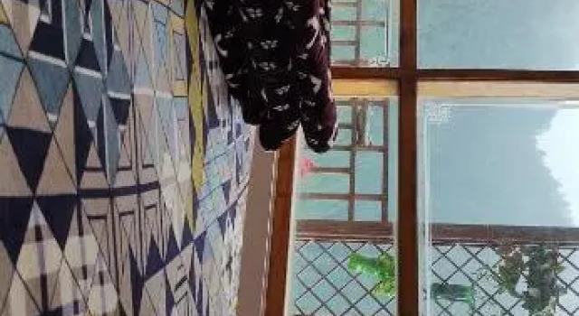 Chadwick valley view Home stay, Забронировать Отель Шимла 