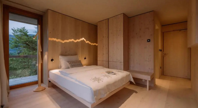 Одноместный номер Standard Hotel Bohinj