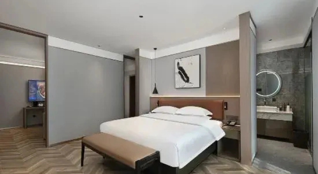 Двухместный люкс Executive MEHOOD LESTIE Hotel (Guangzhou Huangpu Gongyuan)