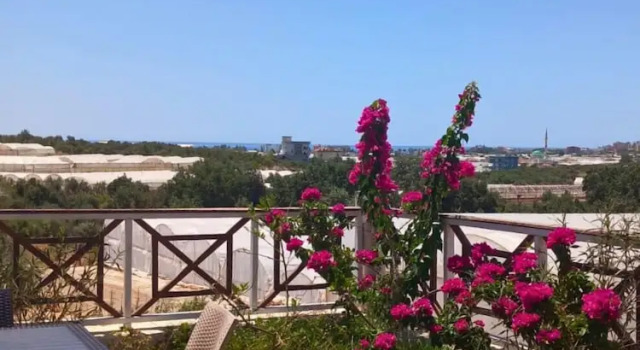 Люкс Comfort Bu Bungalow Hotel
