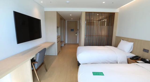 Двухместный номер Deluxe Hotel Arina