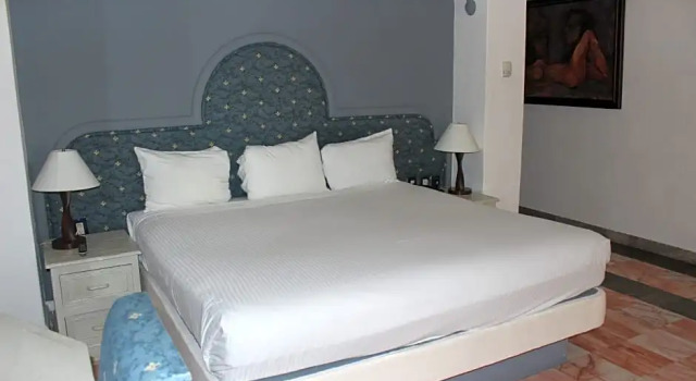 Люкс с видом на сад Hotel y Museo Casa Turquesa