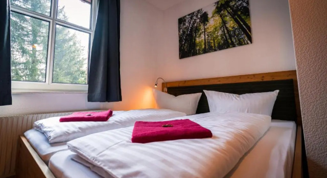 Двухместный номер Standard Berghotel Bärenstein