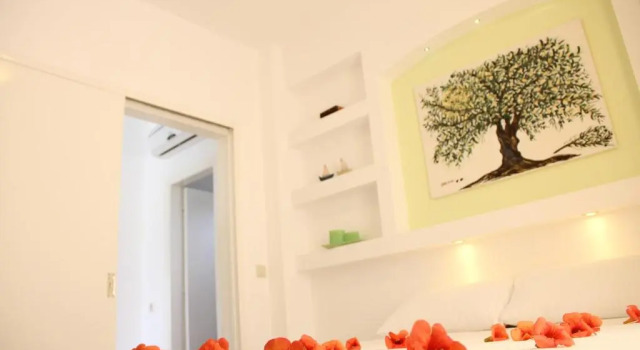 Апартаменты Island House Apartments