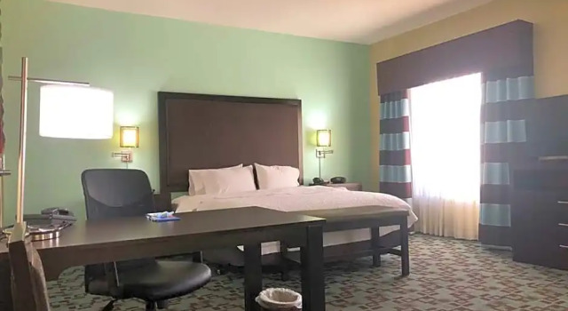 Двухместная студия Mobility/Hearing Accessible with Roll In Shower Hampton Inn & Suites Nashville at Opryland