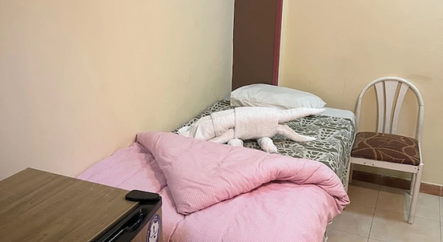 Трёхместный номер Standard с балконом Elphardous Hotel