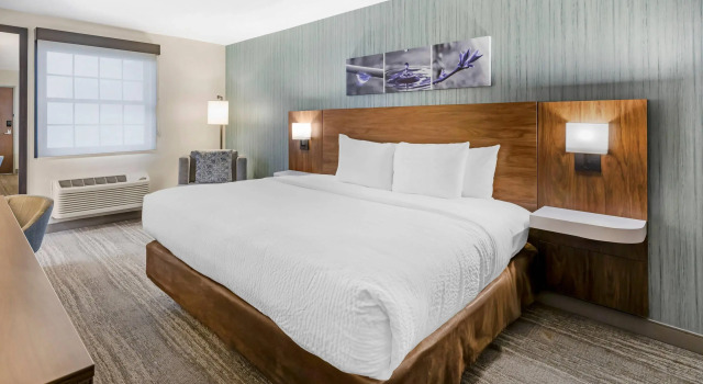 Двухместный номер Standard Sleep Inn Oakbrook Terrace - Chicago