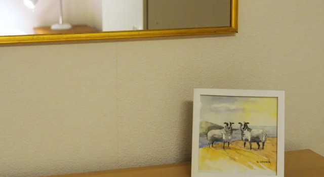 Номер Standard Hillesgården