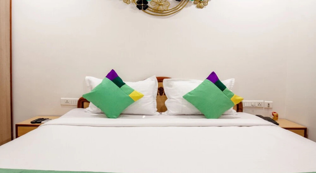 Одноместный номер Economy Treebo Y Hotels Elite, Khandagiri