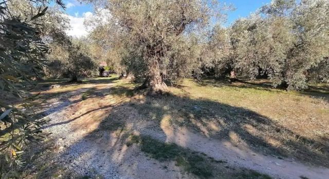 Коттедж Κτήμα Παπαδημητρίου, Papadimitriou retreat
