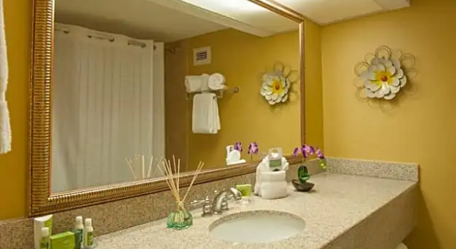Четырёхместный номер Deluxe MCM Elegante Hotel and Suites – Dallas