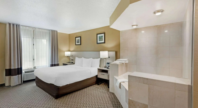Двухместный люкс Comfort Inn & Suites Carneys Point - Pennsville