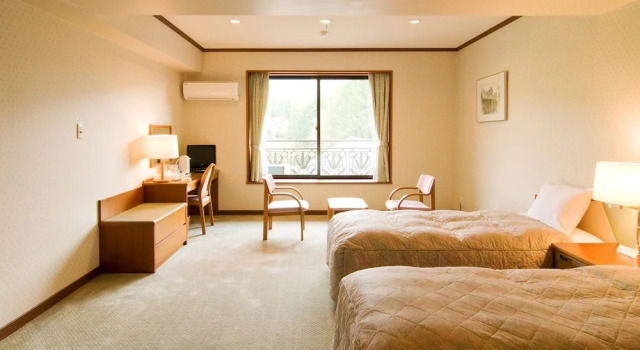 Двухместный номер Standard с балконом Hotel Windsor