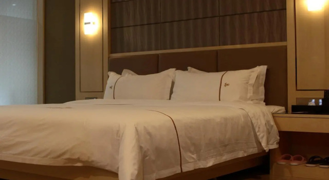 Номер Superior Bolailitai Hotel