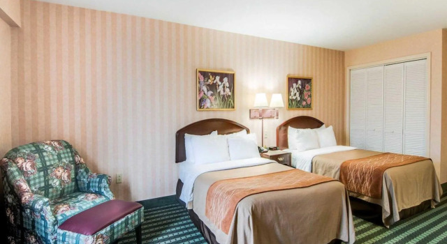 Номер Standard Comfort Inn Airport