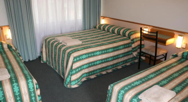 Семейный номер Standard Hermitage Motel