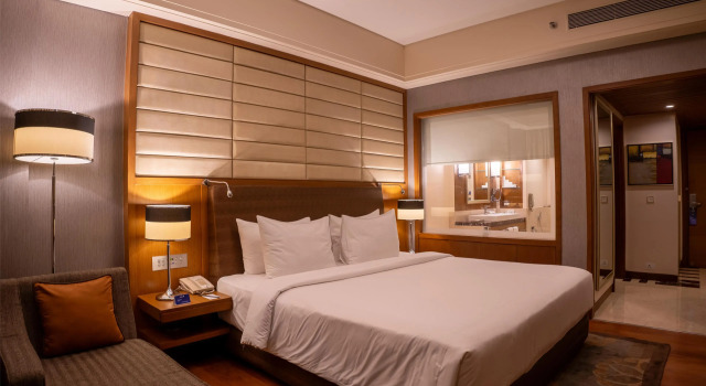 Номер Business Radisson Blu Hotel, Nagpur